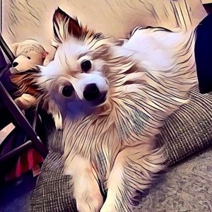 Meet your Posher, Rachel